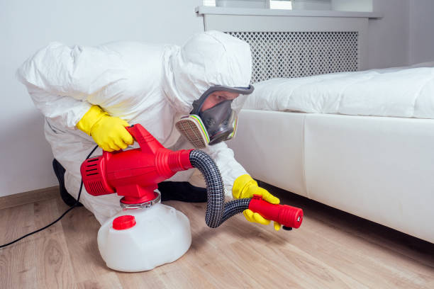 Best Flea Control Services  in , MN